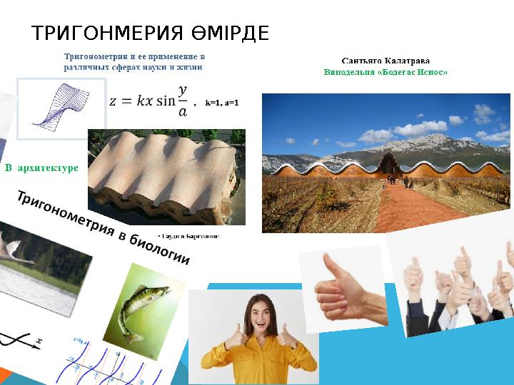 ТРИГОНМЕРИЯ ӨМІРДЕ