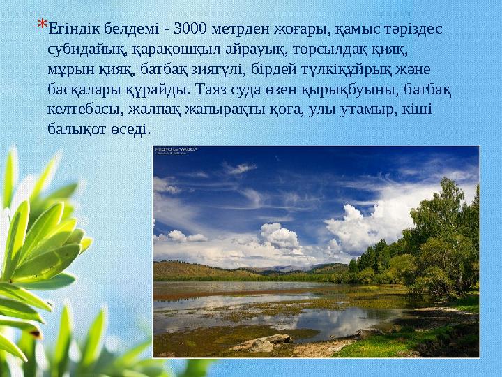 * Егіндік белдемі - 3000 метрден жоғары, қамыс тәріздес субидайық, қарақошқыл айрауық, торсылдақ қияқ, мұрын қияқ, батбақ зияг