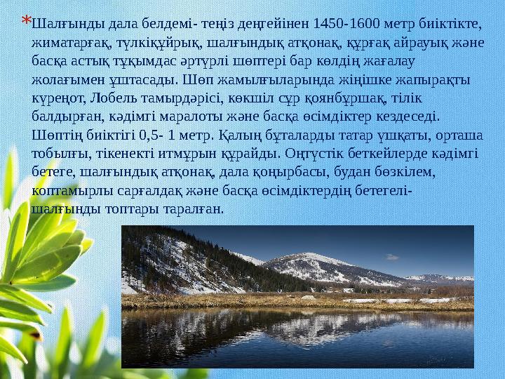 * Шалғынды дала белдемі- теңіз деңгейінен 1450-1600 метр биіктікте, жиматарғақ, түлкіқұйрық, шалғындық атқонақ, құрғақ айрауық