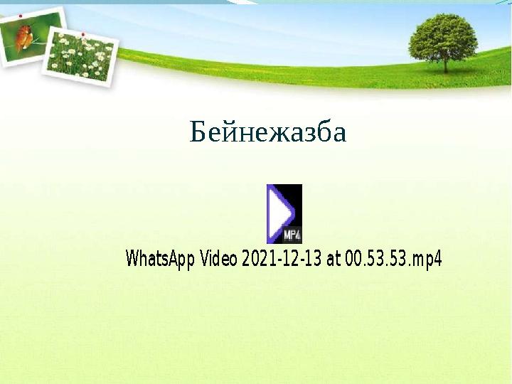 WhatsApp Video 2021-12-13 at 00.53.53.mp4Бейнежазба