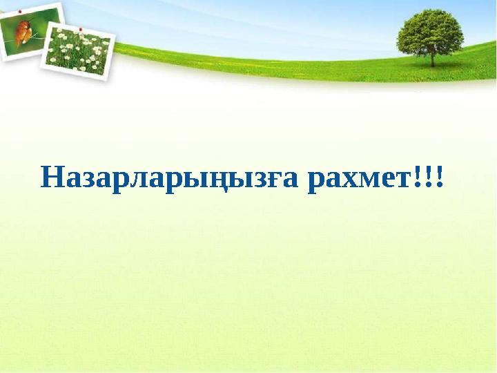 Назарларыңызға рахмет!!!