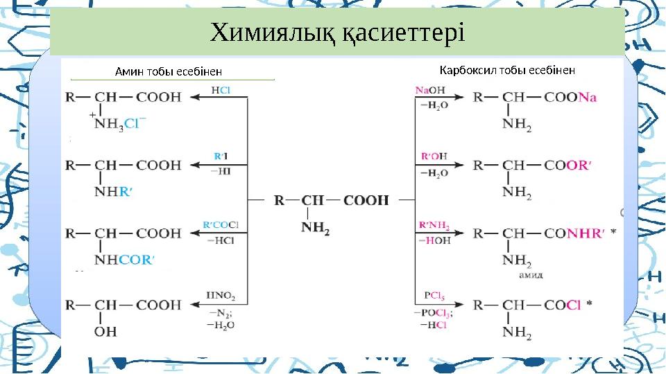 Химиялы қ қасиеттері Амин тобы есебінен Карбоксил тобы есебінен