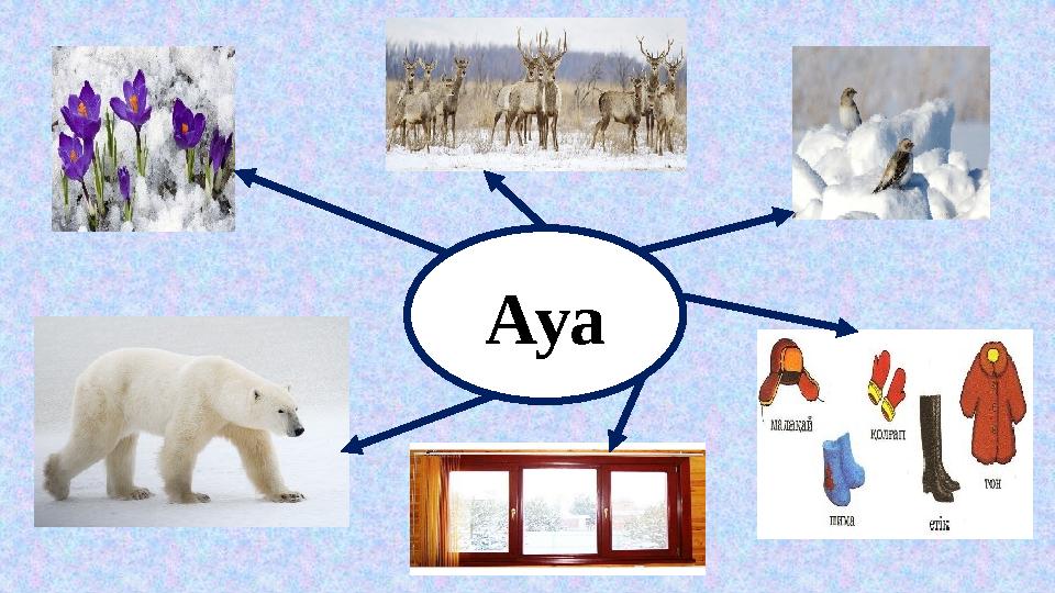 Ауа Ауа
