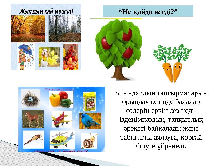 “ Не қайда өседі?” ойындардың тапсырмаларын орындау кезінде балалар өздерін еркін сезінеді, ізденімпаздық, тапқырлық әрекеті