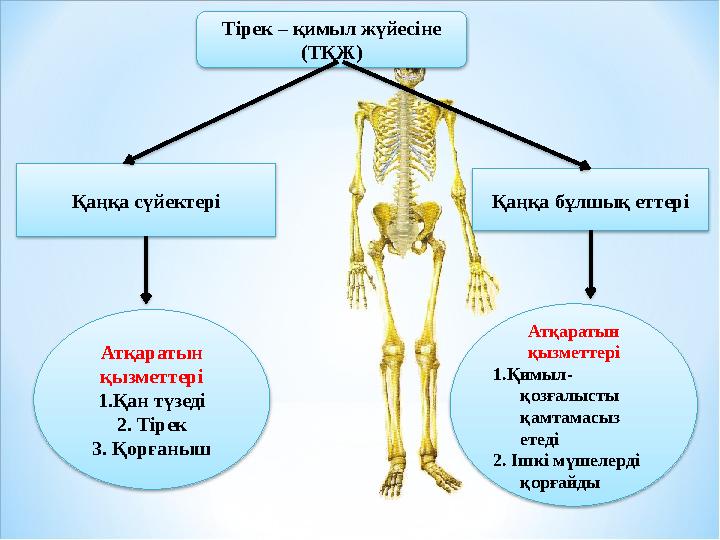 HD форматындағы табиғи кисканың жақын жоспары