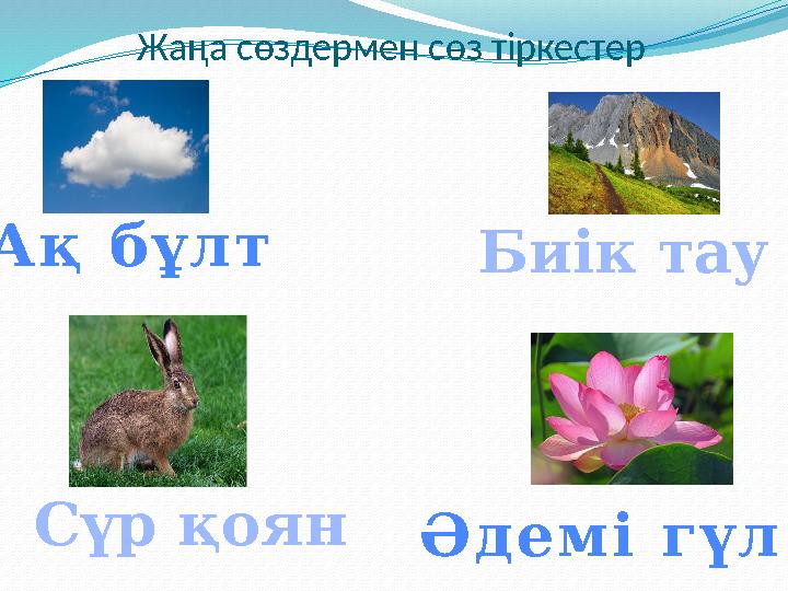 Жаңа сөздермен сөз тіркестер Ә д е м і г ү л А қ б ұ л т Биік тау Сүр қоян