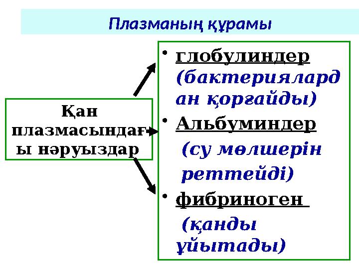 Плазманың құрамы • глобулиндер (бактериялард ан қорғайды) • Альбуминдер (су мөлшерін реттейді) • фибриноген