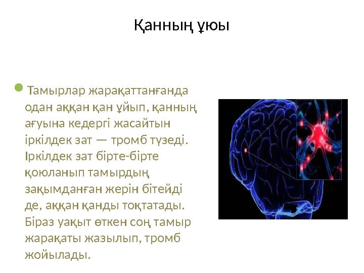 Қанның ұюы  Тамырлар жарақаттанғанда одан аққан қан ұйып, қанның ағуына кедергі жасайтын іркілдек зат — тромб түзеді. Іркіл