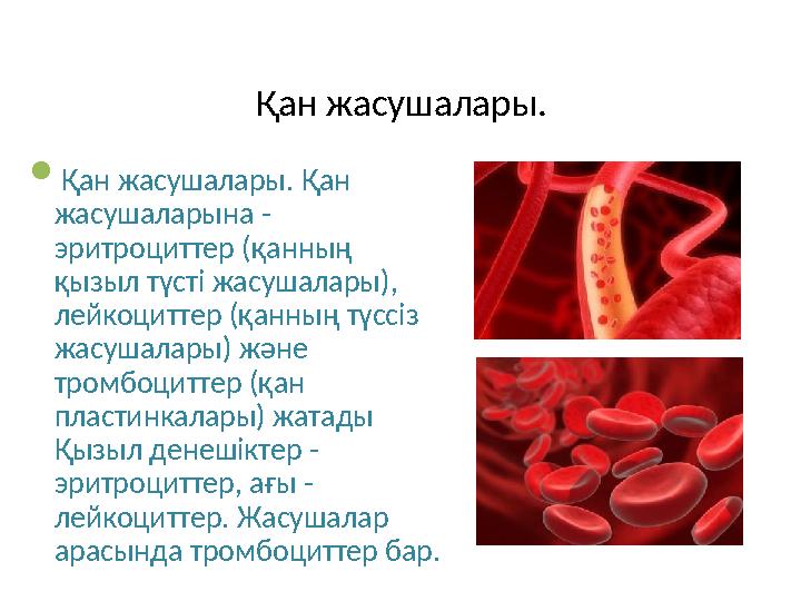 Қан жасушалары.  Қан жасушалары. Қан жасушаларына - эритроциттер (қанның қызыл түсті жасушалары), лейкоциттер (қанның түссі