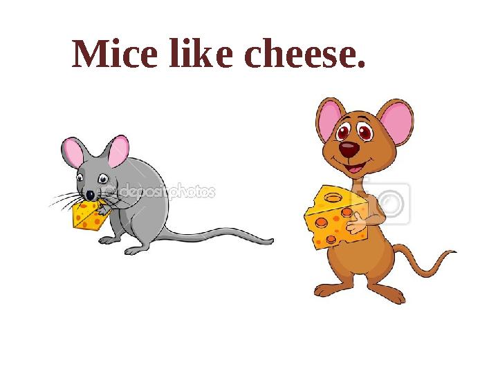 Mice like cheese.