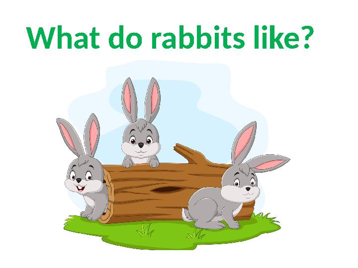 What do rabbits like?