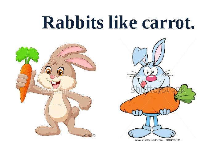 Rabbits like carrot.