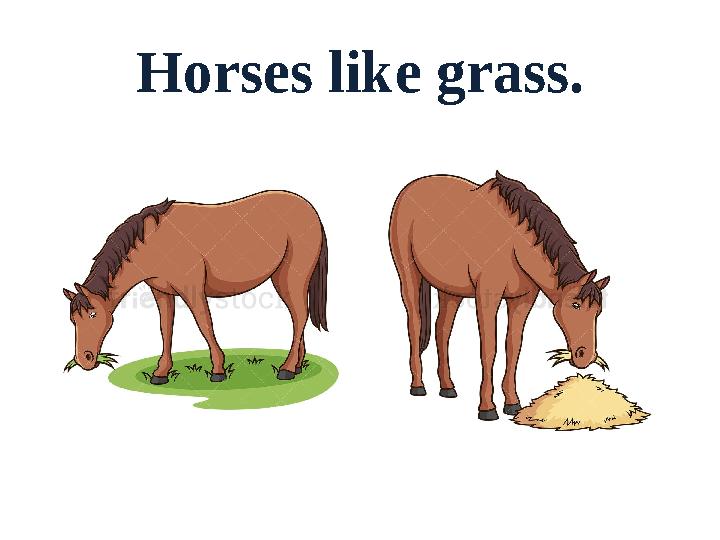 Horses like grass.