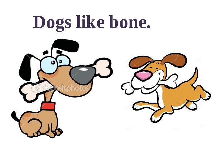 Dogs like bone.