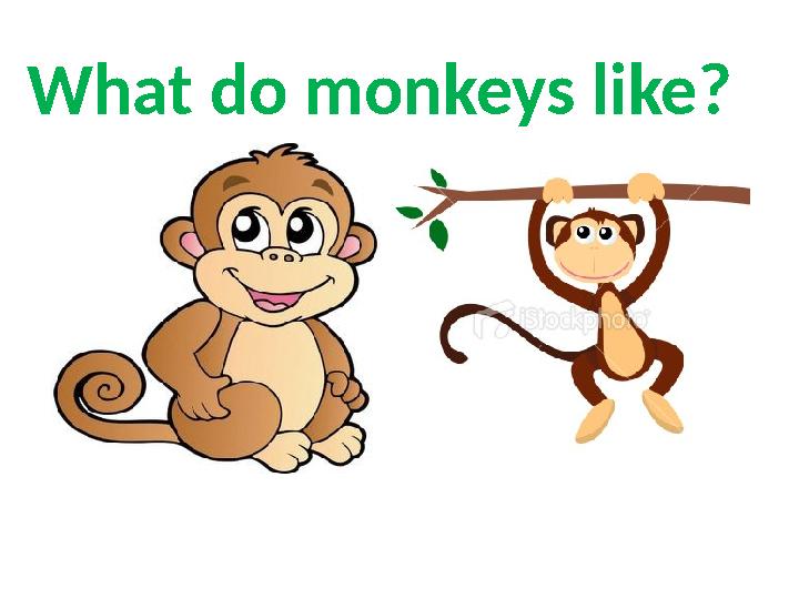 What do monkeys like?