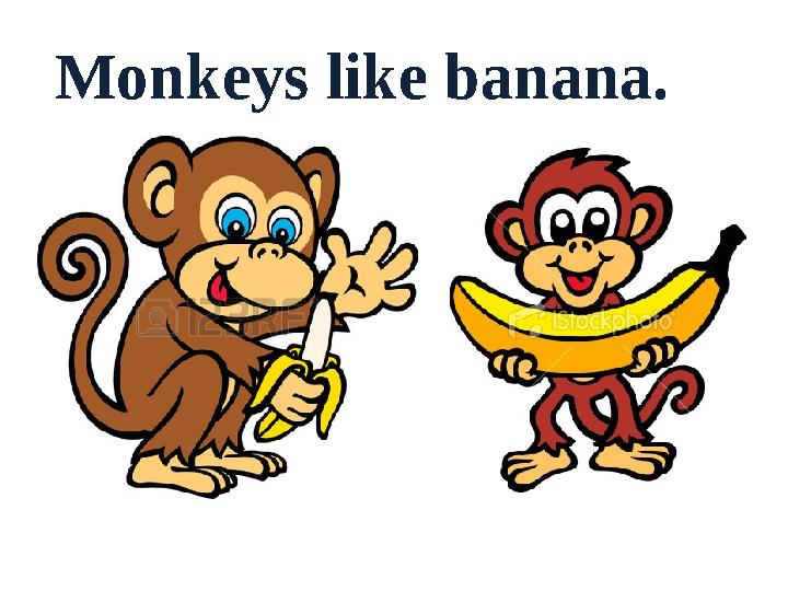 Monkeys like banana.