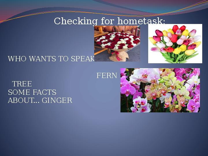 Checking for hometask: WHO WANTS TO SPEAK FERN TREE SOME FACTS