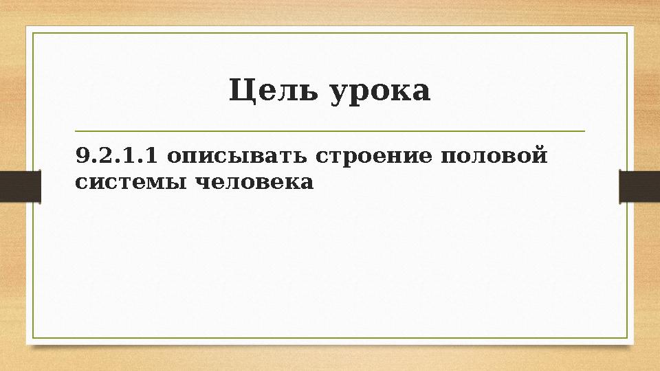 Цель урока 9.2.1.1 описывать строение половой системы человека