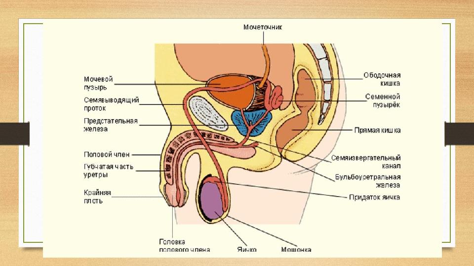 Проверка «немых» схем