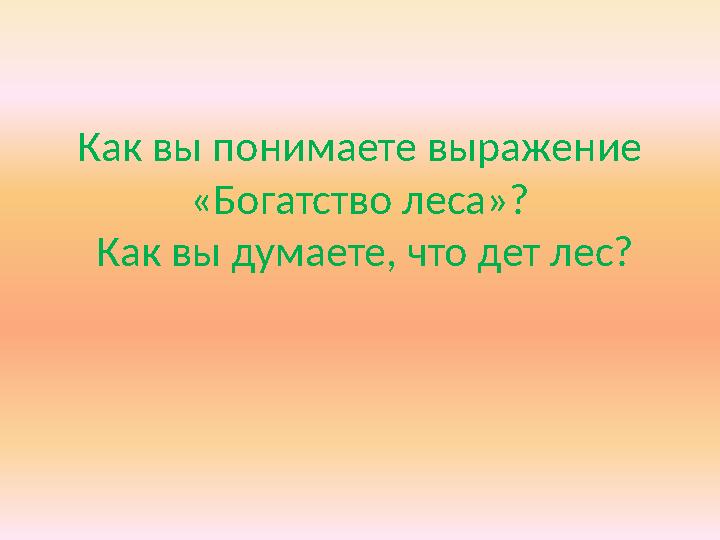 Как вы понимаете выражение «Богатство леса»? Как вы думаете, что дет лес?