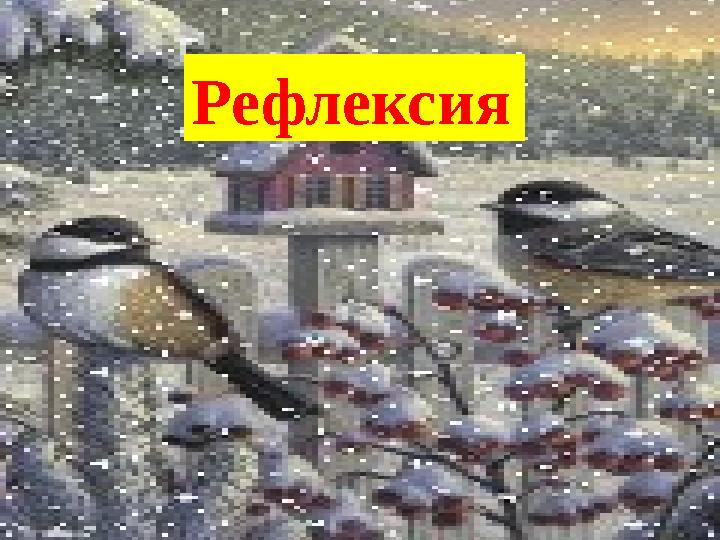 Рефлексия