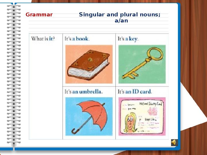 Grammar Singular and plural nouns; a/an