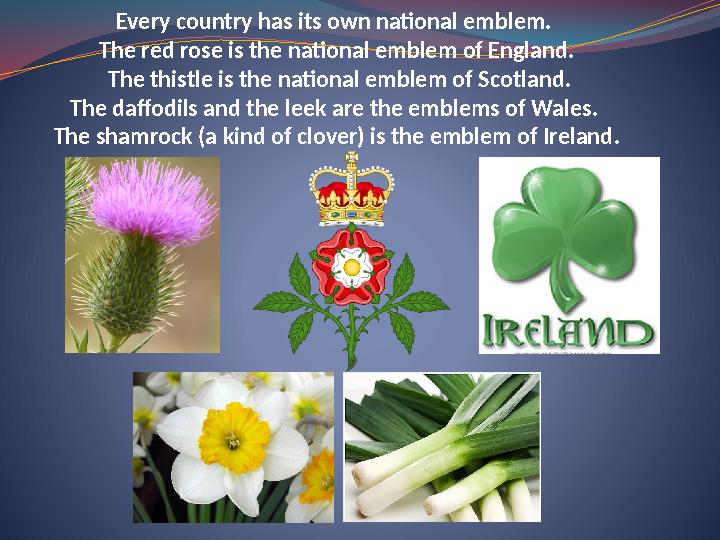 Every country has its own national emblem. The red rose is the national emblem of England . The thistle is the national emblem