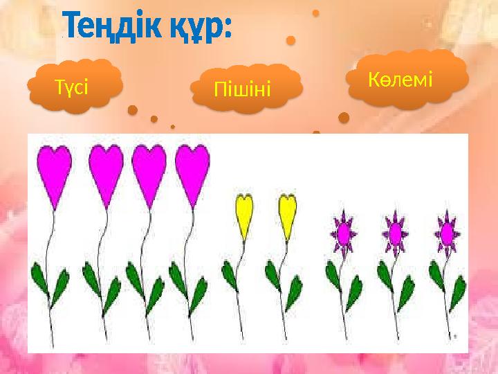 Түсі Пішіні Көлемі