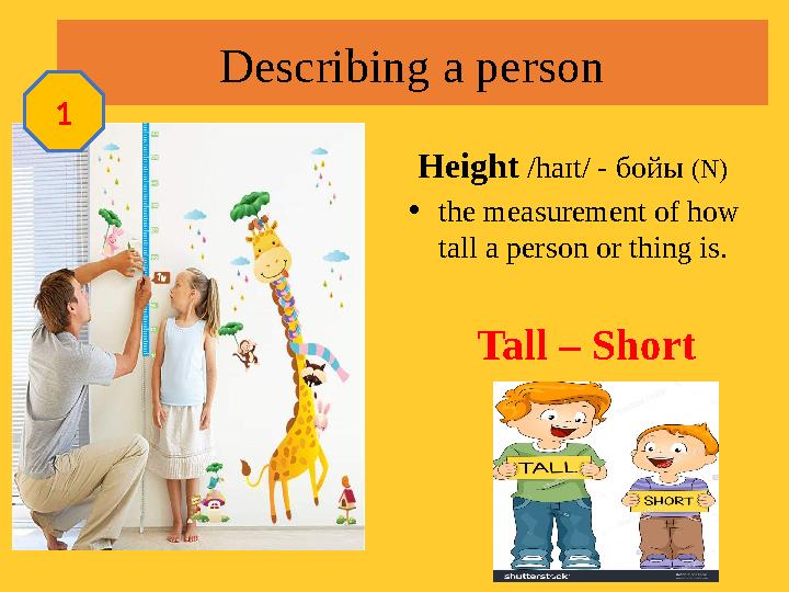 Describing a person Height /haɪt/ - бойы (N) • the measurement of how tall a person or thing is. Tall – S