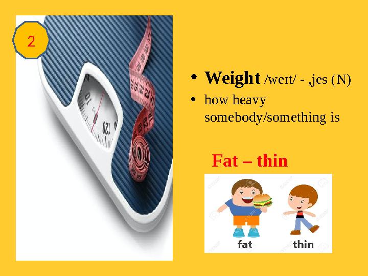 • Weight /weɪt/ - ,jes (N) • how heavy somebody/something is Fat – thin 2
