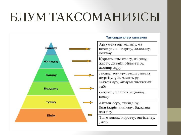 БЛУМ ТАКСОМАНИЯСЫ