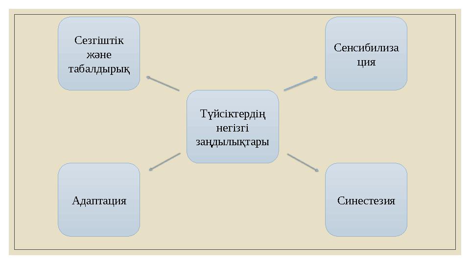 Түйсіктердің негізгі заңдылықтары Адаптация Сезгіштік және табалдырық Сенсибилиза ция Синестезия