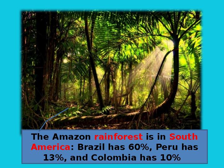 The Amazon rainforest is in South America : Brazil has 60%, Peru has 13%, and Colombia has 10%