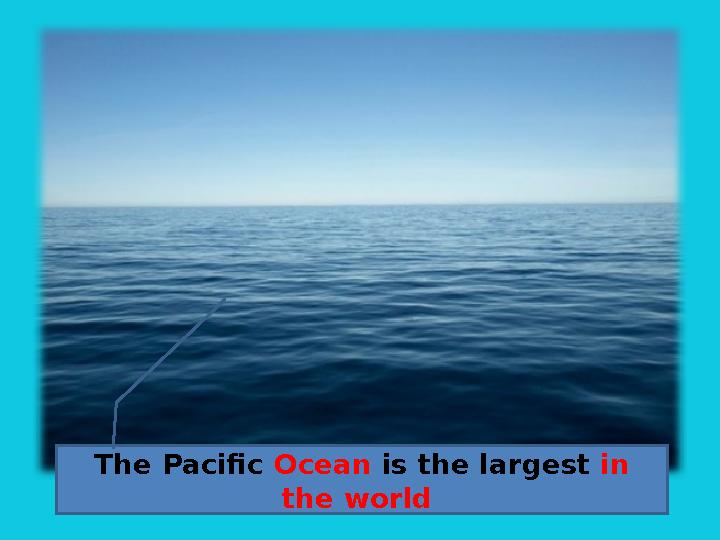 The Pacific Ocean is the largest in the world