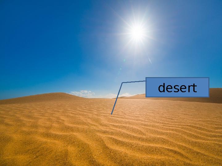 desert