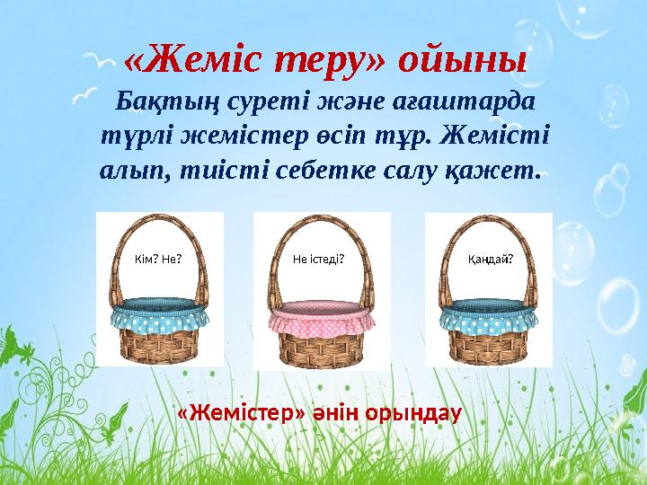 «Жеміс теру» ойыны Бақтың суреті және ағаштарда түрлі жемістер өсіп тұр. Жемісті алып, тиісті себетке салу қажет. Кім? Не? Не