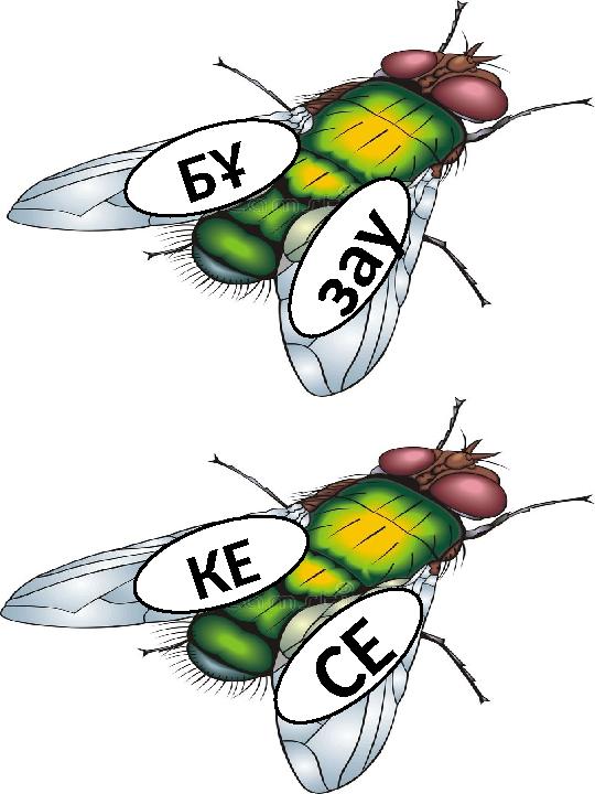 Б Ұ з а у С Е К Е