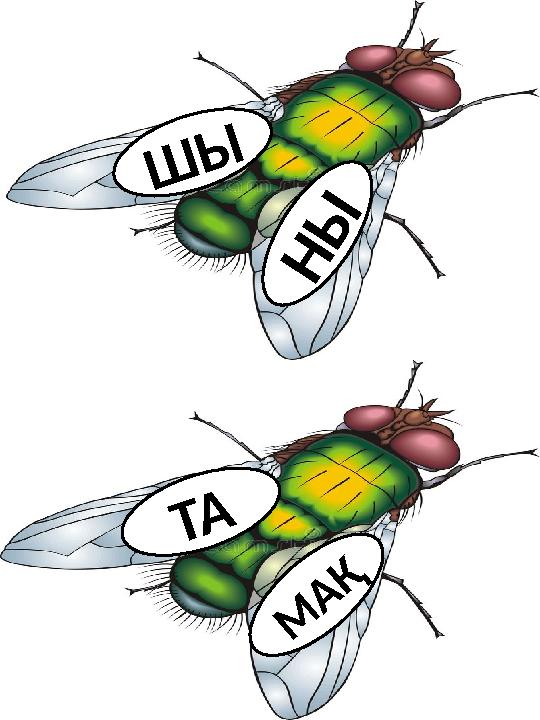 Ш Ы Н Ы М А Қ Т А