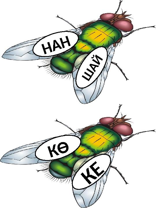 Н А Н Ш А Й К Е К Ө