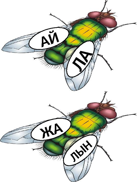 А Й Л А Л Ы Н Ж А