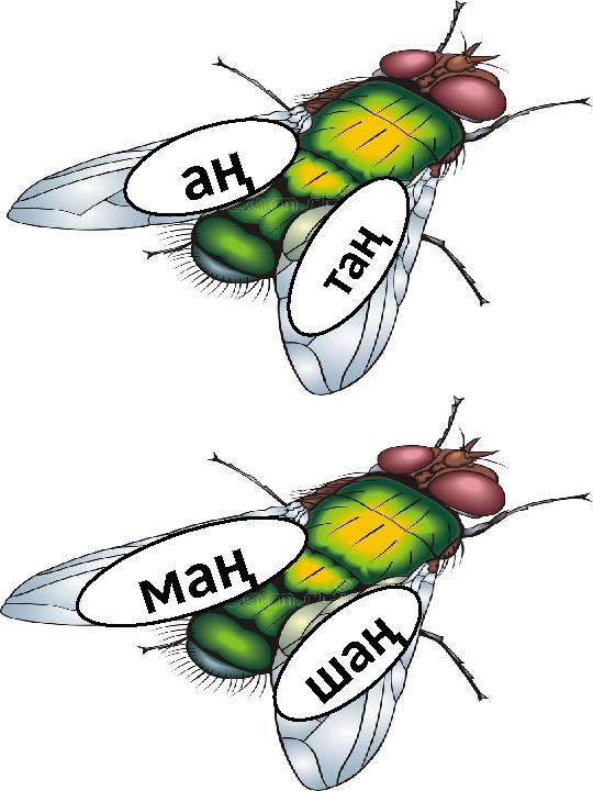 а ң т а ң ш а ң м а ң