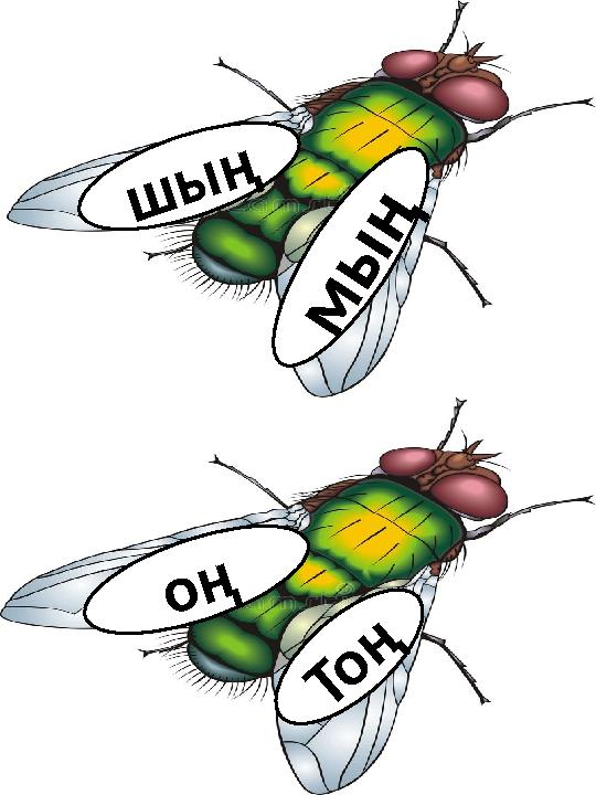 ш ы ң м ы ң Т о ң о ң