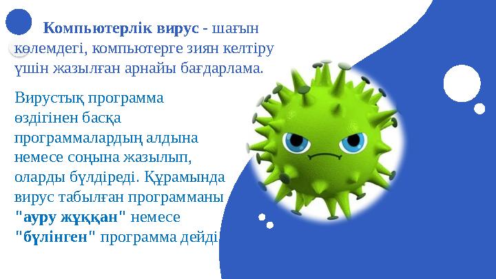 Вирустық программа өздігінен басқа программалардың алдына немесе соңына жазылып, оларды бүлдіреді. Құрамында вирус табылған