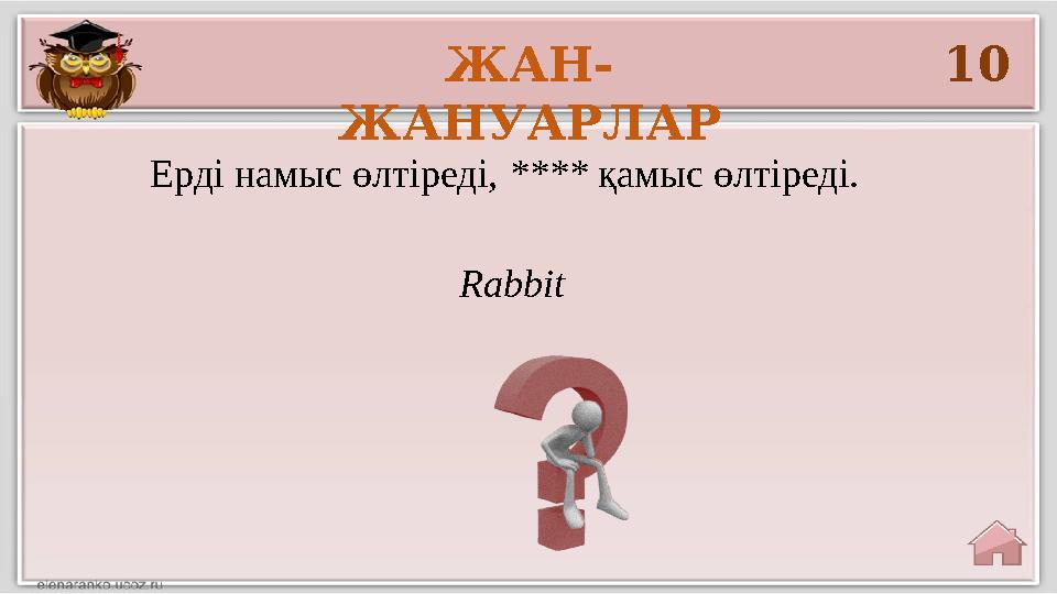ЖАН- ЖАНУАРЛАР 10 Ерді намыс өлтіреді, **** қамыс өлтіреді. Rabbit