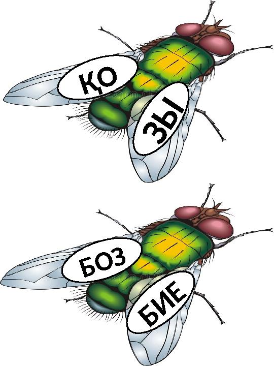 Қ О З Ы Б И Е Б О З