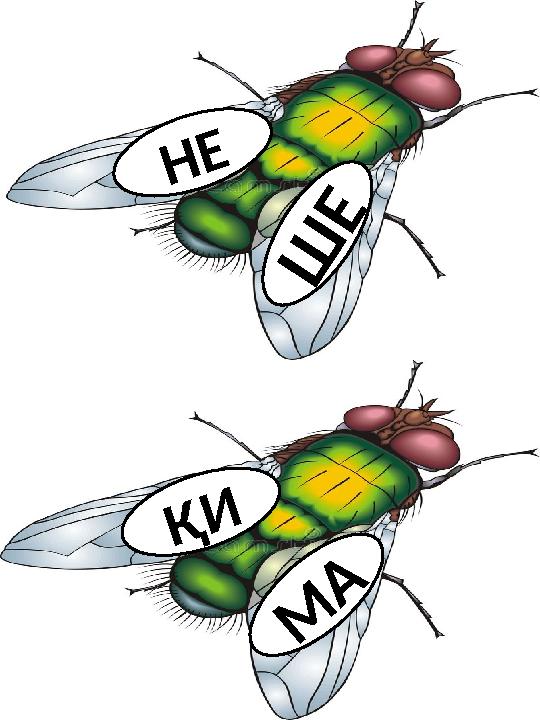 Н Е Ш Е М А Қ И