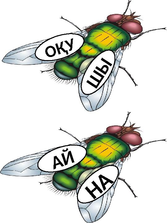 О Қ У Ш Ы Н А А Й