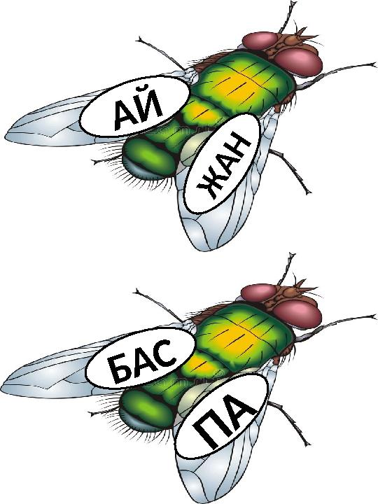 А Й Ж А Н П А Б А С