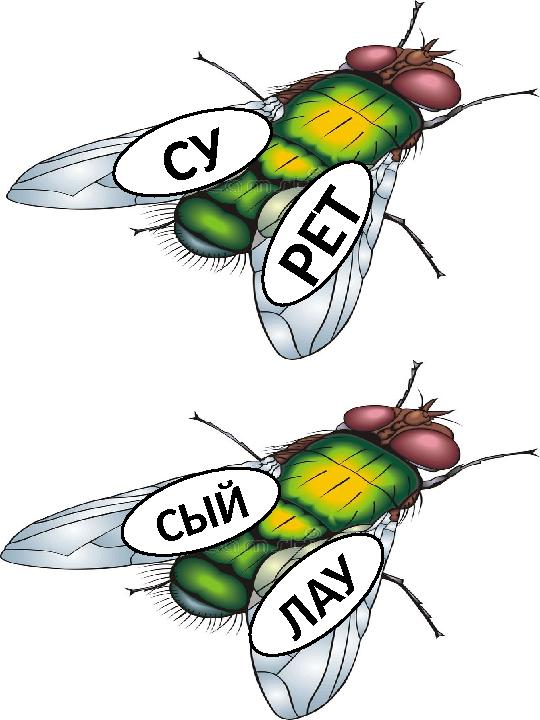 С У Р Е Т Л А У С Ы Й