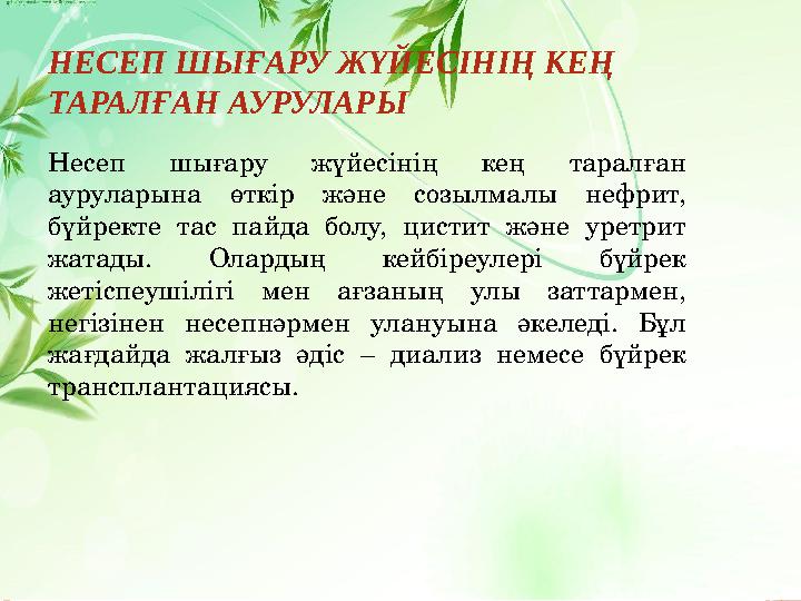 НЕСЕП ШЫҒАРУ ЖҮЙЕСІНІҢ КЕҢ ТАРАЛҒАН АУРУЛАРЫ Несеп шығару жүйесінің кең таралған ауруларына өткір және созылмалы нефри